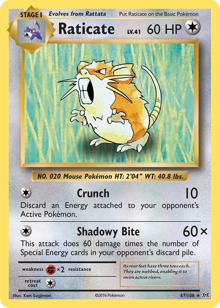 #067 Raticate
