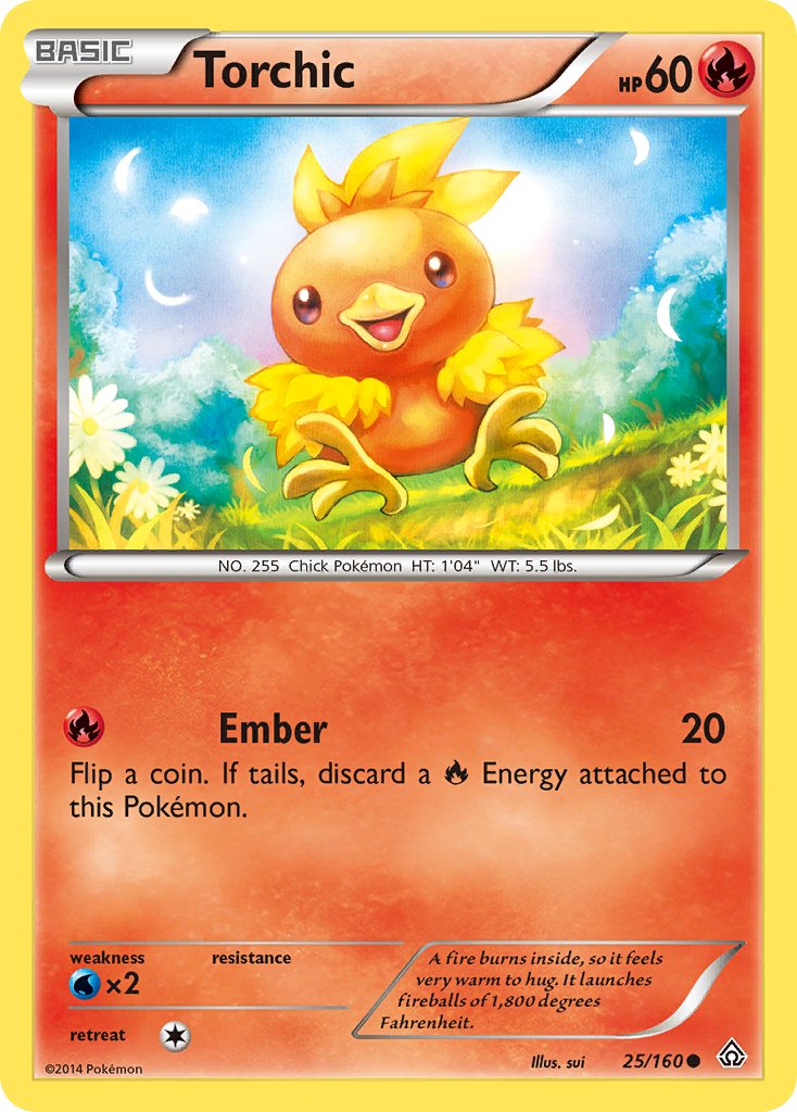 #025 Torchic