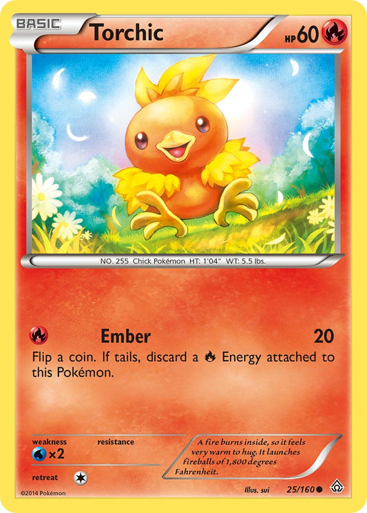 #025 Torchic