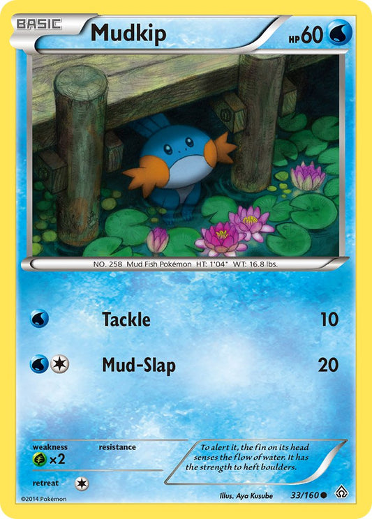 #033 Mudkip