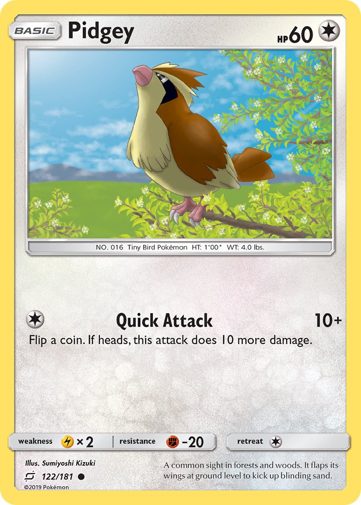#122 Pidgey