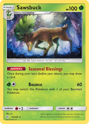 #016 Sawsbuck