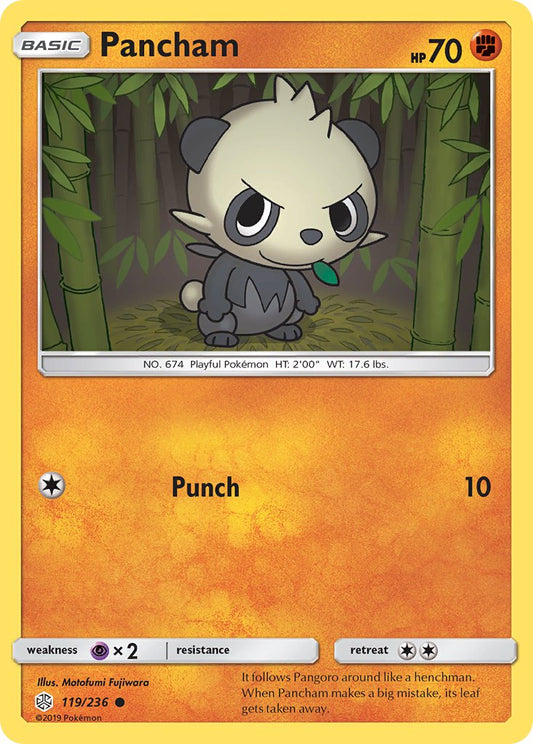 #119 Pancham