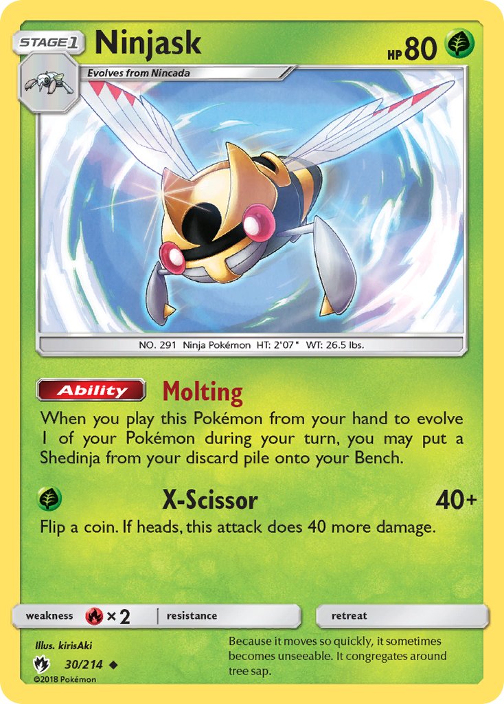 #030 Ninjask
