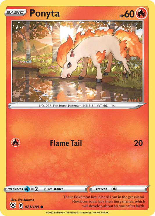 #021 Ponyta