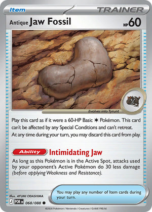 #068 Antique Jaw Fossil