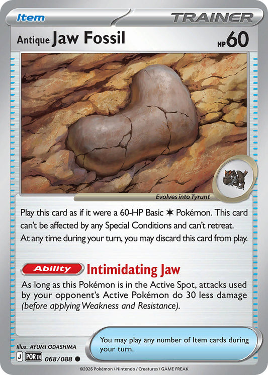 #068 Antique Jaw Fossil