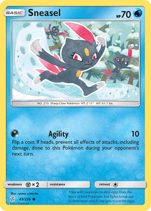 #043 Sneasel