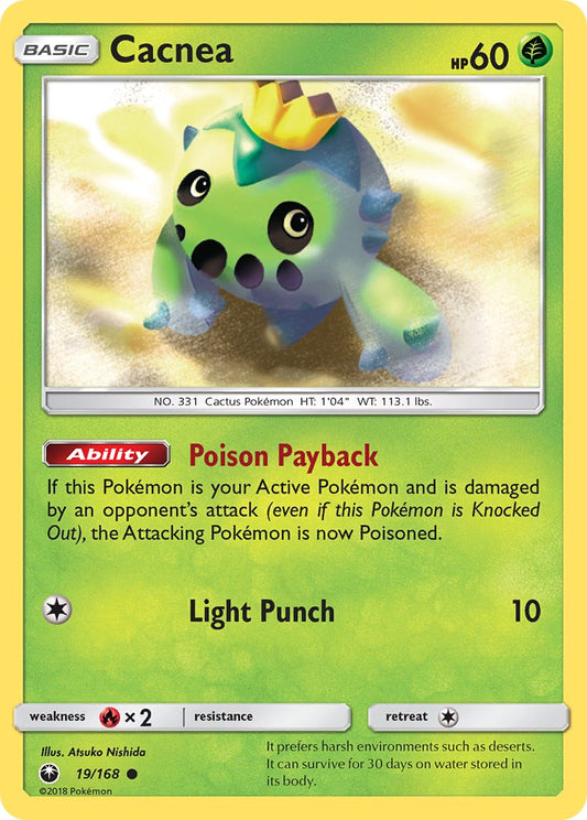 #019 Cacnea