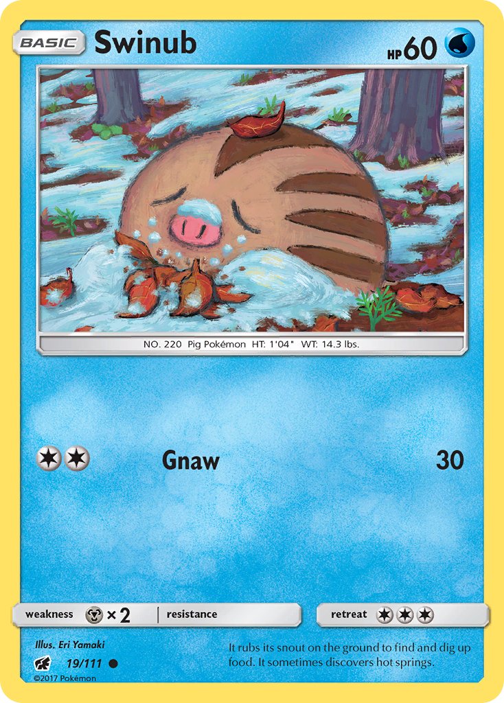 #019 Swinub