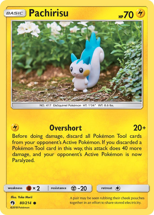 #080 Pachirisu
