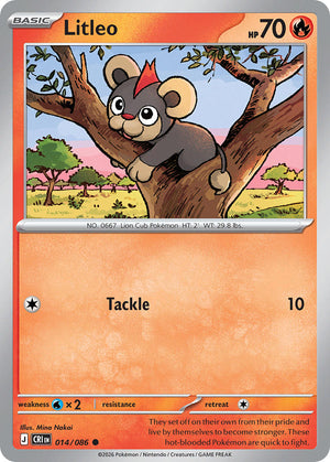 Descriptive image text