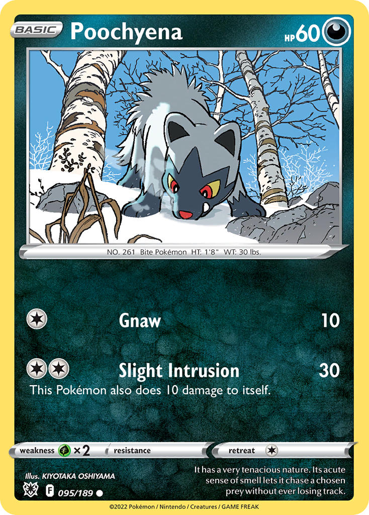 #095 Poochyena