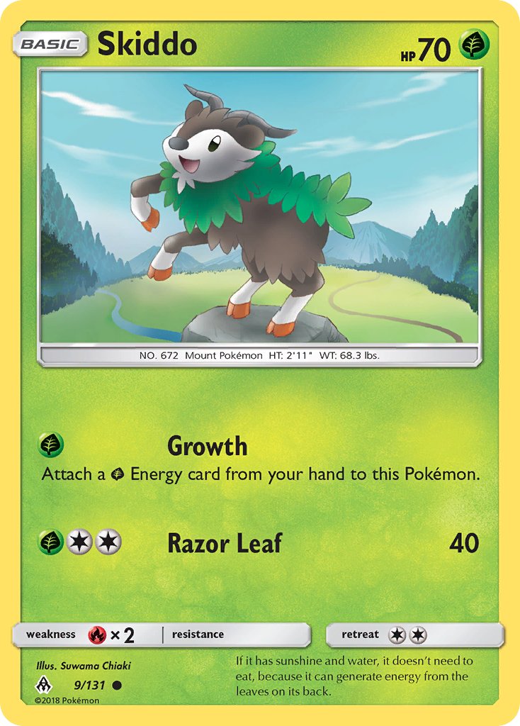 #009 Skiddo