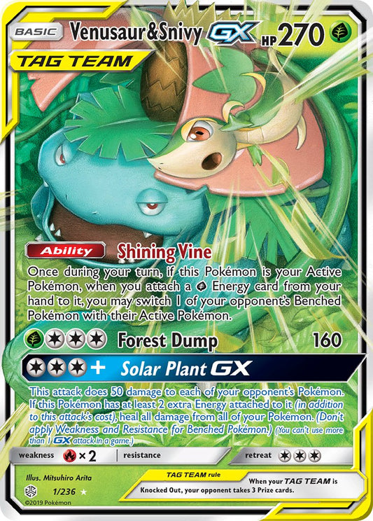 #001 Venusaur & Snivy-GX