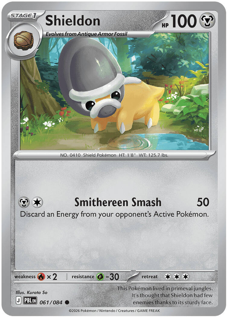 #061 Shieldon