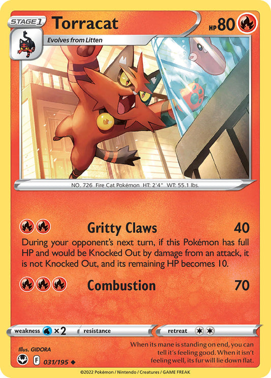 #031 Torracat