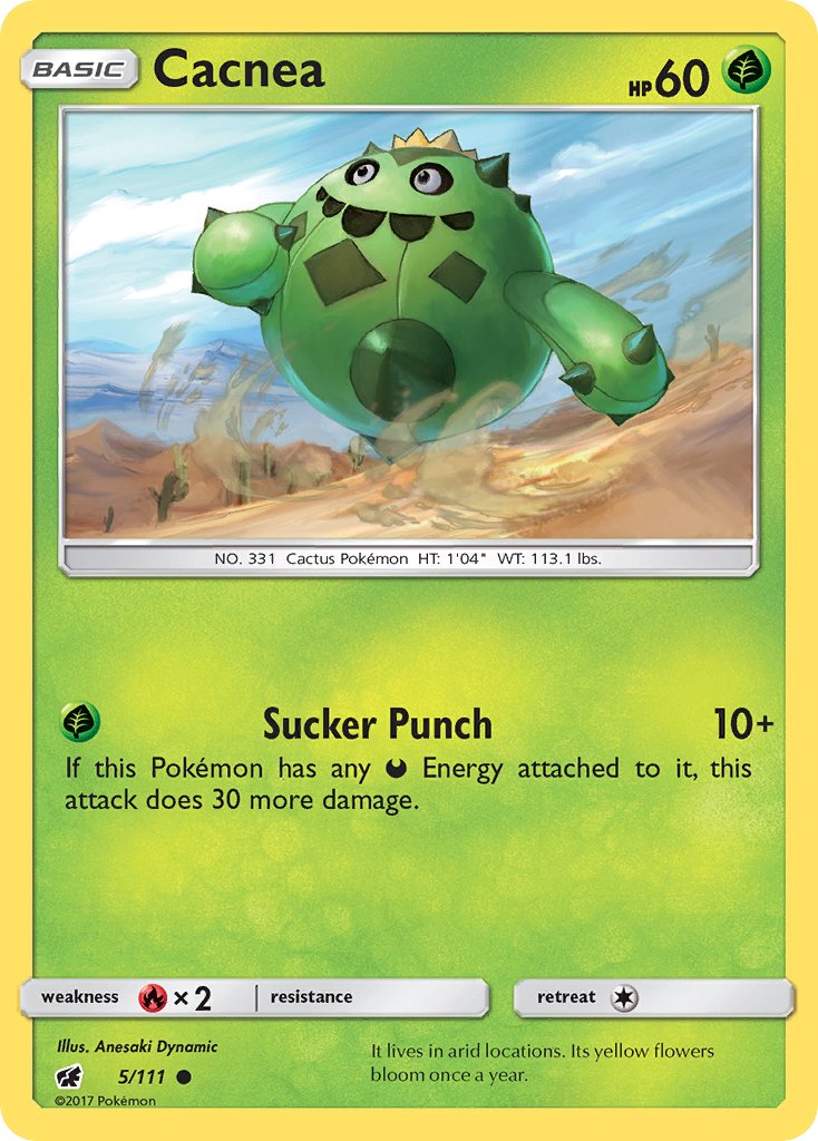 #005 Cacnea