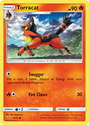 #016 Torracat