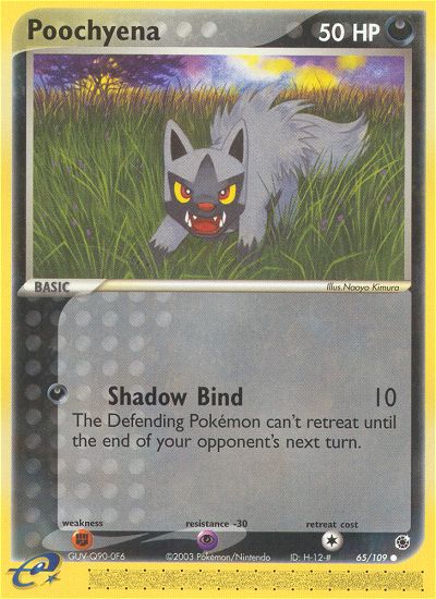 #065 Poochyena