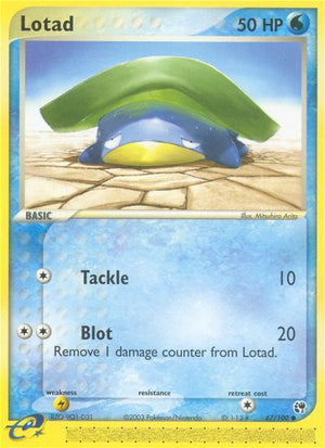 #067 Lotad