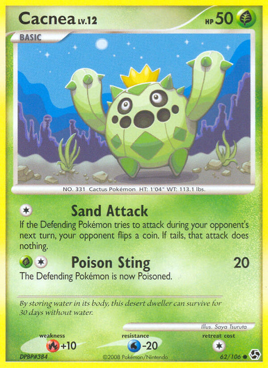 #062 Cacnea