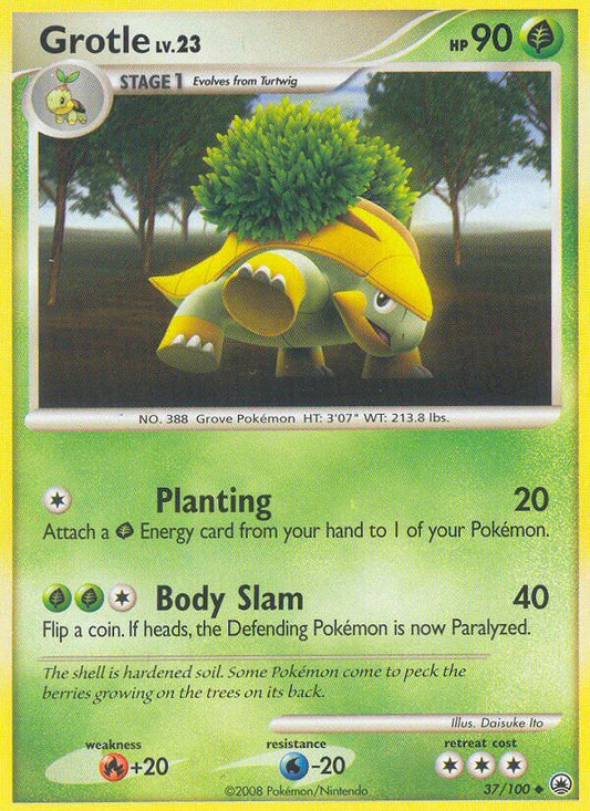 #037 Grotle
