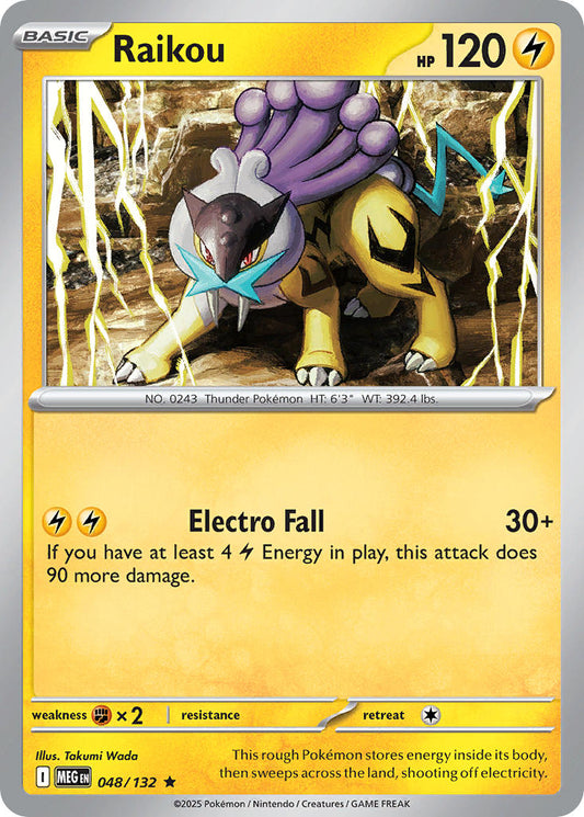#048 Raikou