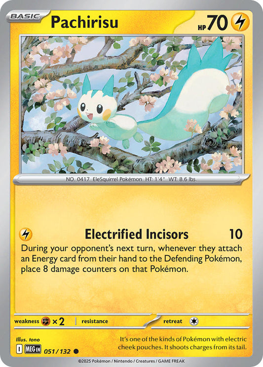 #051 Pachirisu