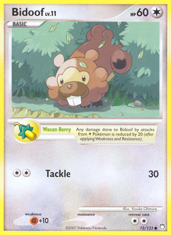 #073 Bidoof
