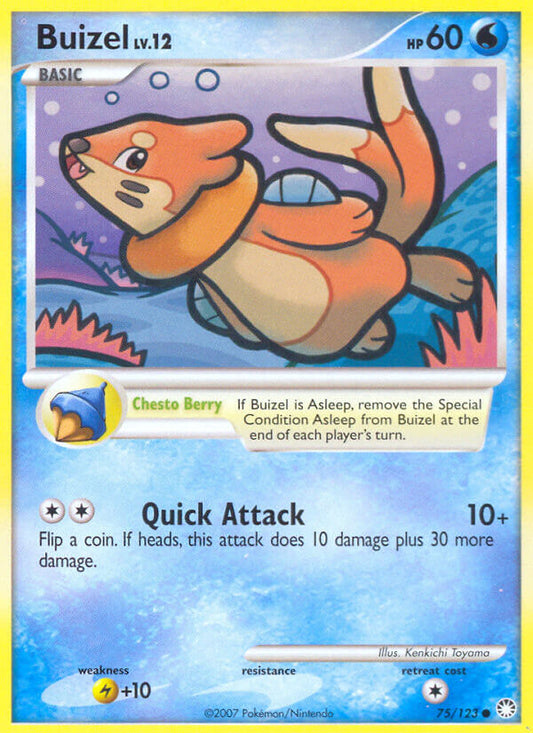 #075 Buizel