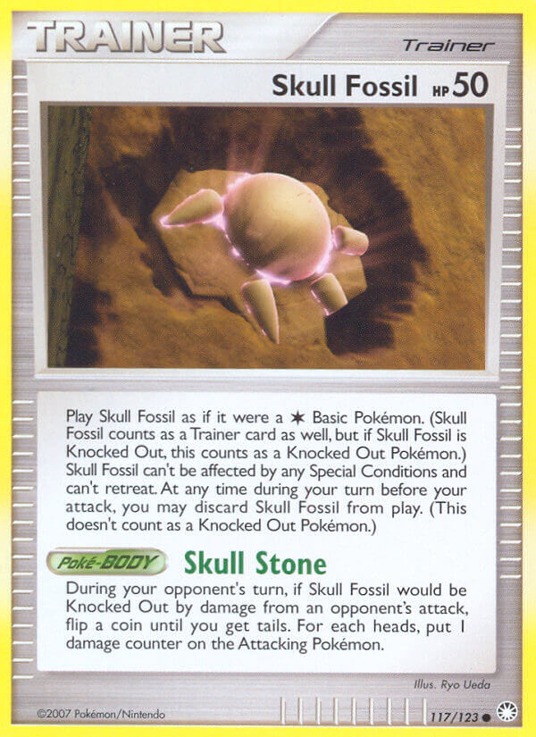 #117 Skull Fossil