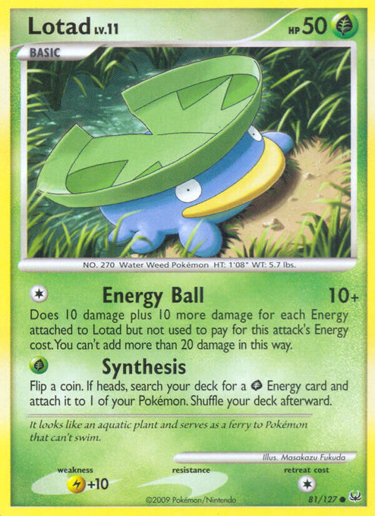 #081 Lotad
