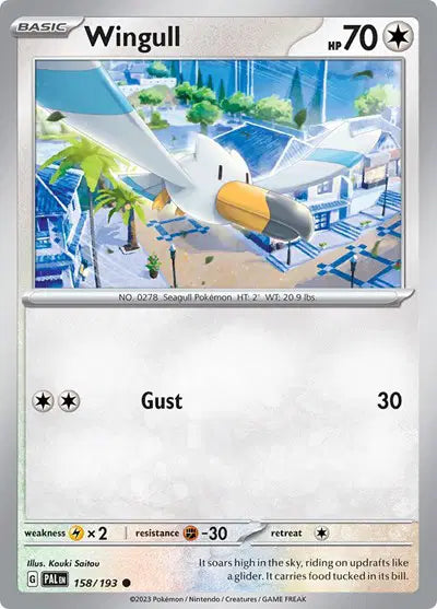 #158 Wingull