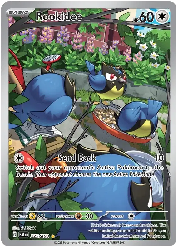 #225 Rookidee