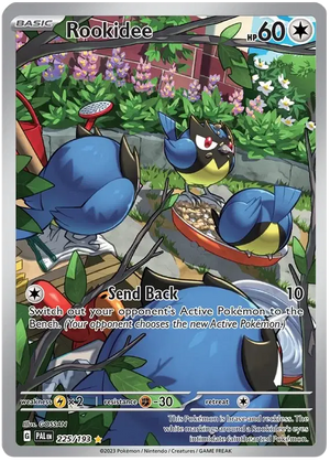 #225 Rookidee