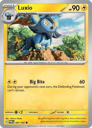 #067 Luxio