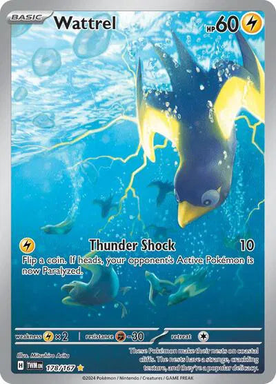 #178 Wattrel