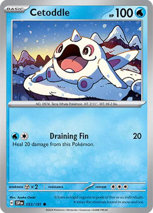 #053 Cetoddle