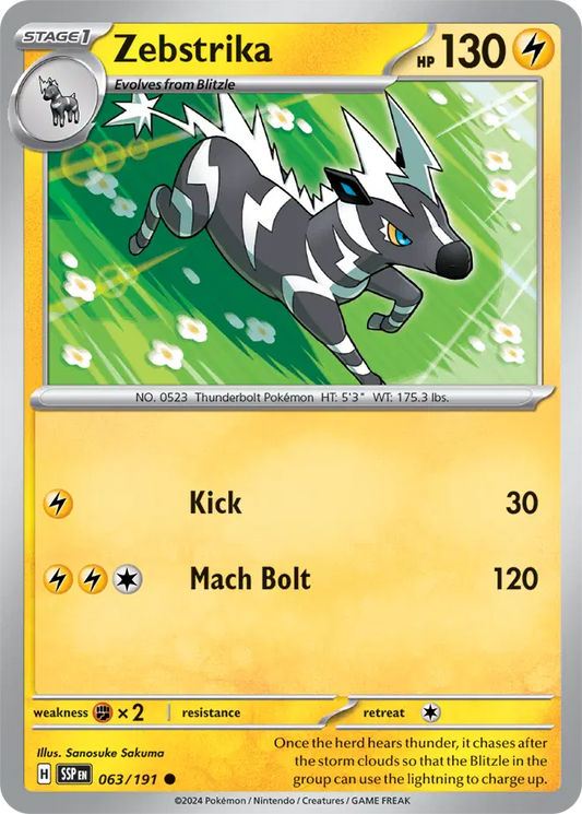#063 Zebstrika