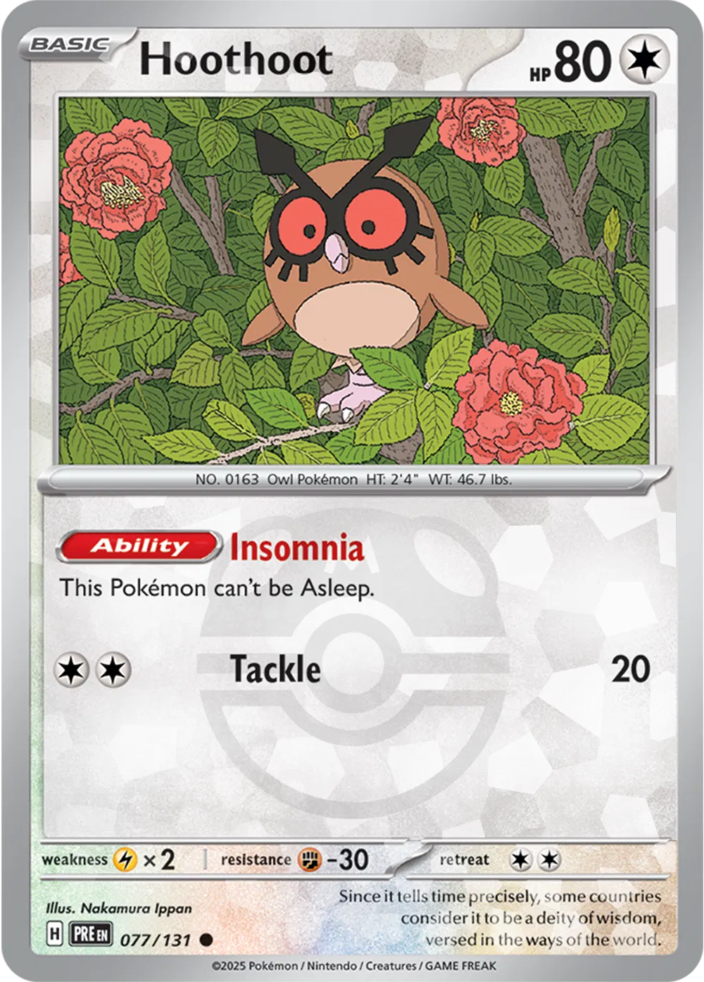 #077 Hoothoot