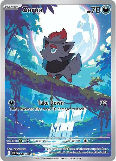 #142 Zorua
