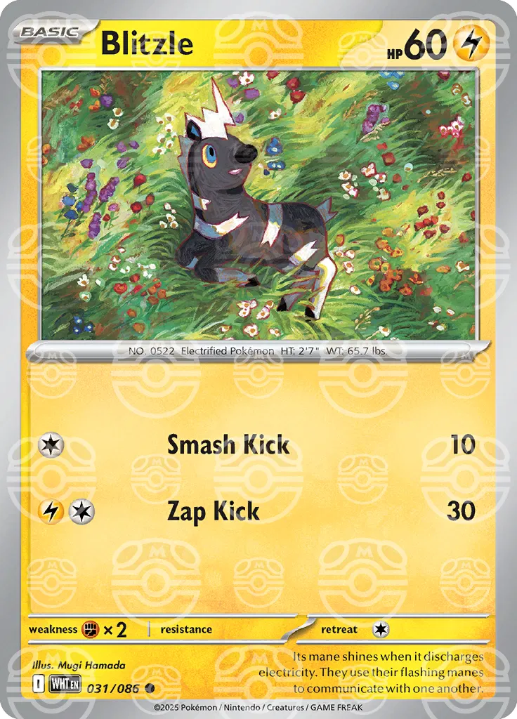 #031 Blitzle