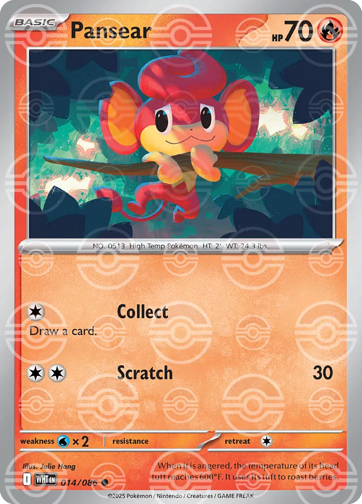#014 Pansear