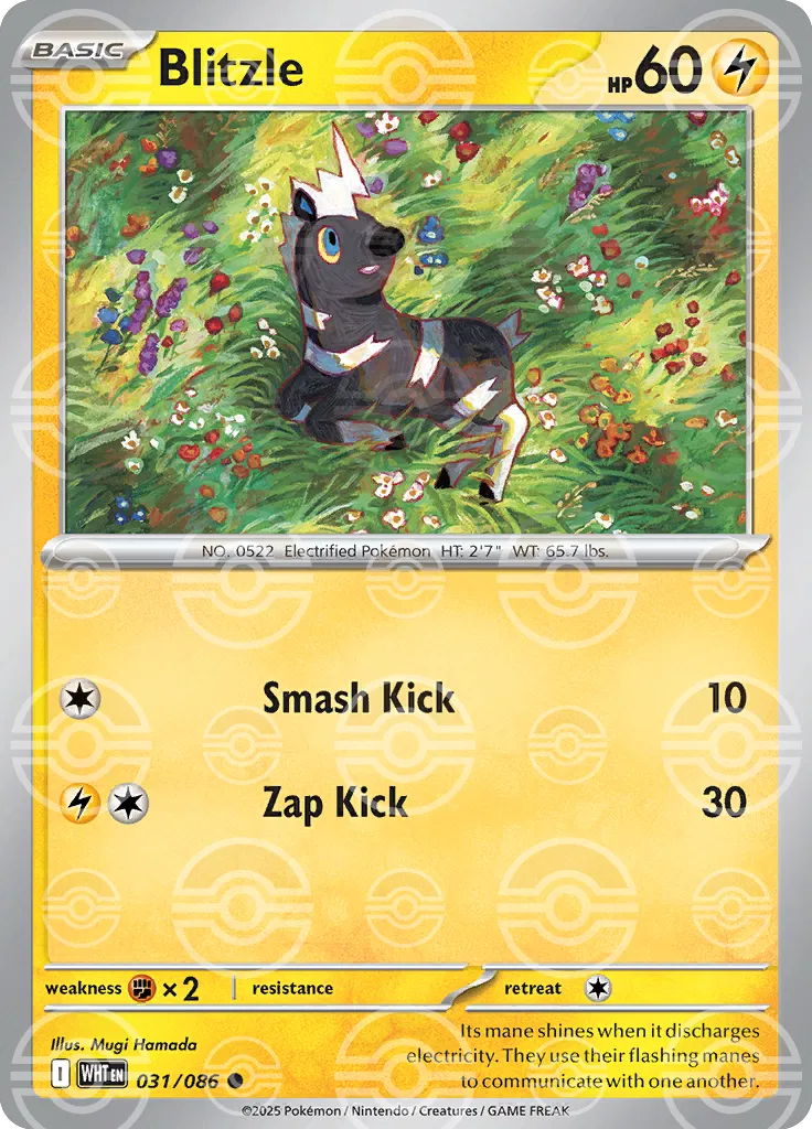 #031 Blitzle