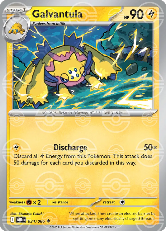 #034 Galvantula