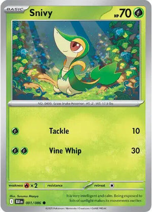 #001 Snivy