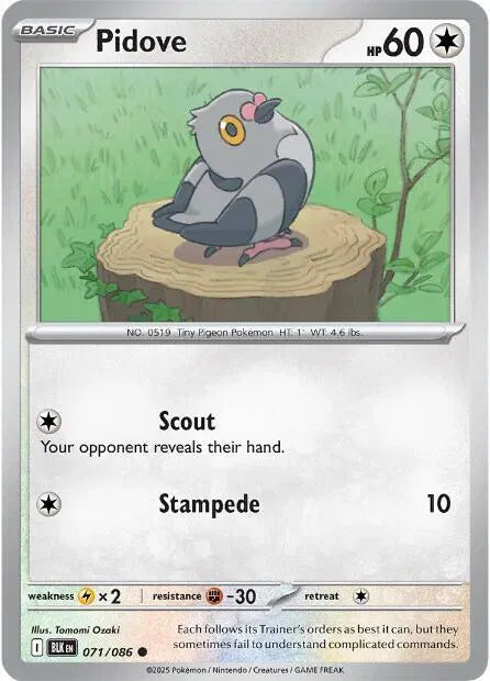 #071 Pidove