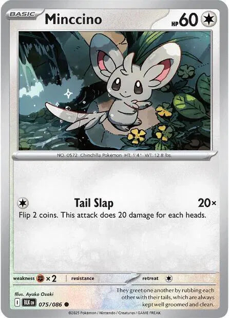 #075 Minccino