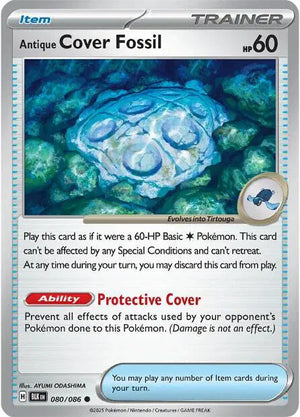 #080 Antique Cover Fossil